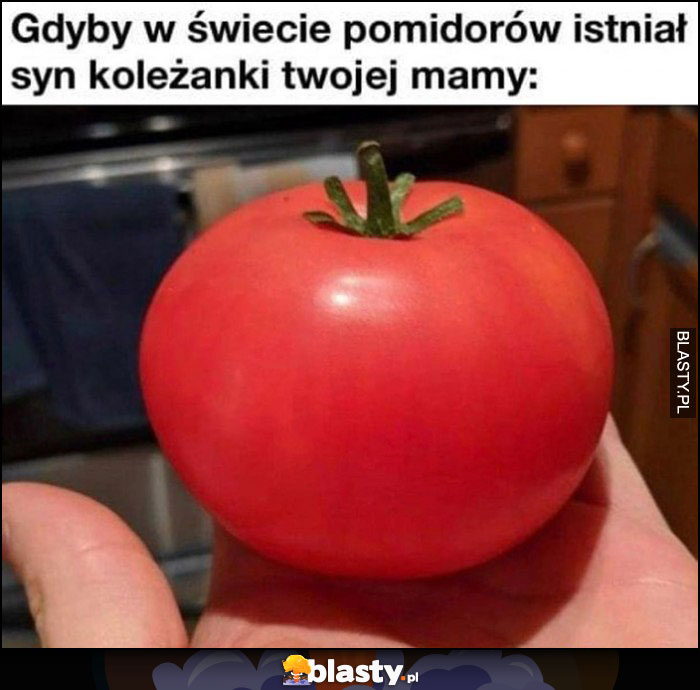 Gdyby w świecie pomidorów istniał syn koleżanki twojej starej mamy