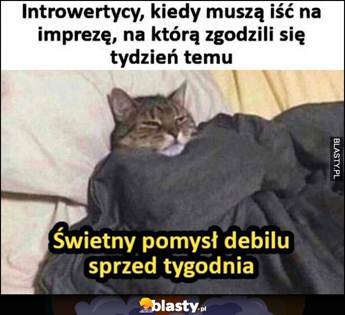 Introwertycy kiedy muszą iść na imprezę, na którą zgodzili się tydzień temu, świetny pomysł debilu sprzed tygodnia kot kotek