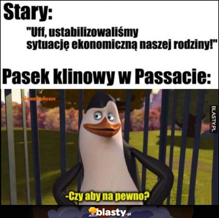 Stary: ustabilizowaliśmy sytuację ekonomiczną naszej rodziny vs pingwin pasek klinowy w Passacie: czy aby na pewno?