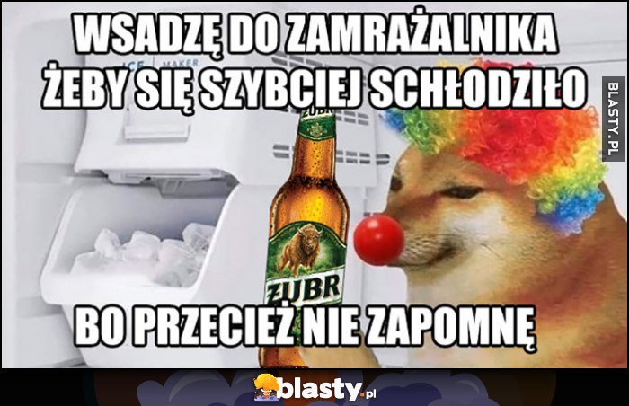 Pies klaun wsadzę piwo piwko Żubr do zamrażalnika żeby się szybciej schłodziło, bo przecież nie zapomnę