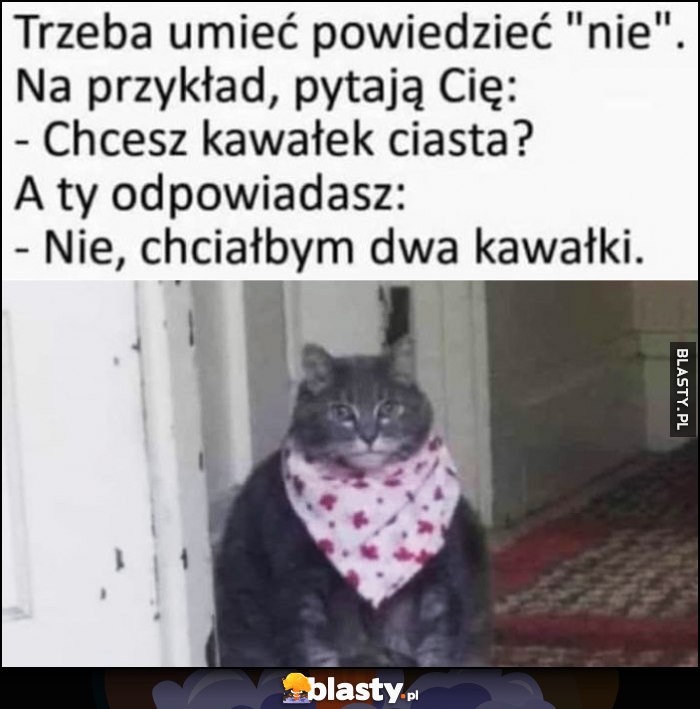 Gruby kot trzeba umieć powiedzieć nie, na przykład pytają Cię czy chcesz kawałęk ciasta, a Ty odpowiadasz: nie, chciałbym dwa kawałki