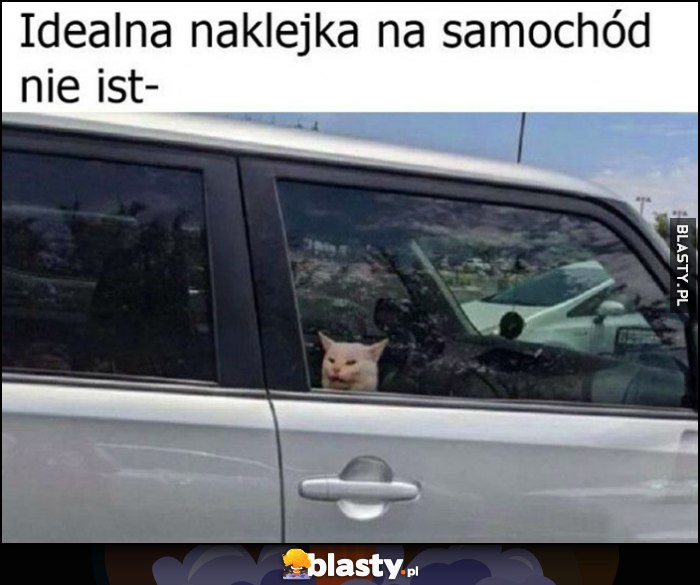 Idealna naklejka na samochód nie istnieje kot z mema