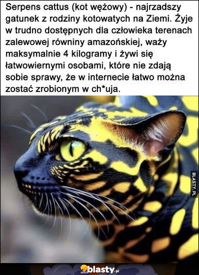 Kot wężowy najrzadszy gatunek na Ziemi żywi się osobami, które nie zdają sobie sprawy, że w internecie łatwo można zostać zrobionym w chja