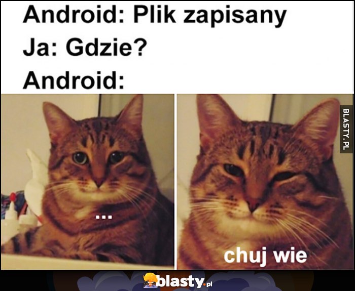 Android: plik zapisany, ja: gdzie? Android: kij wie kot kotek