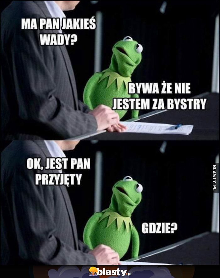 Kermit ma pan jakieś wady? Bywa, że nie jestem za bystry. Ok, jest pan przyjęty, gdzie?