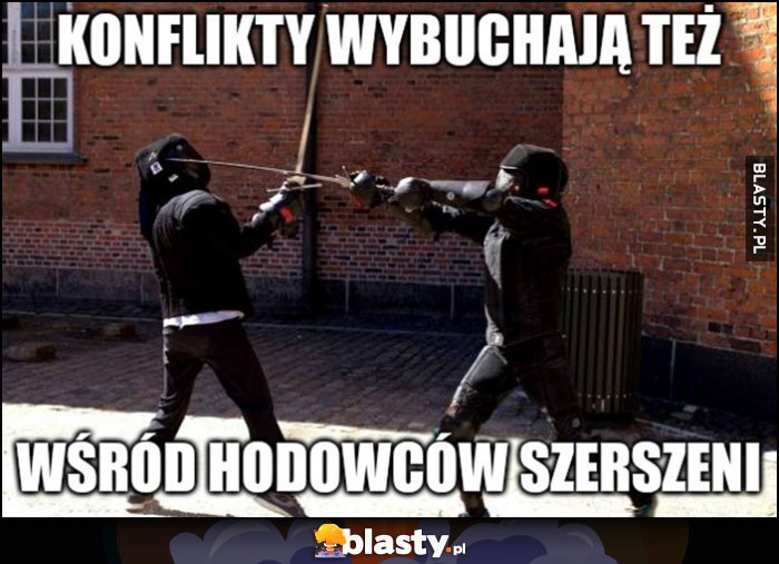 Konflikty wybuchają również wśród hodowców szerszeni szermierka