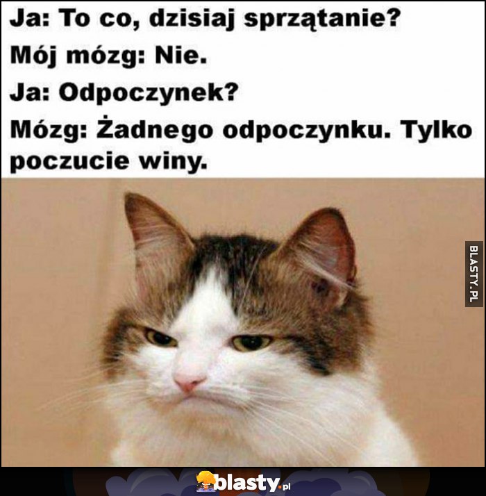 To co dzisiaj sprzątanie? Mój mózg: nie. Odpoczynek? Żadnego odpoczynku, tylko poczucie winy kot kotek