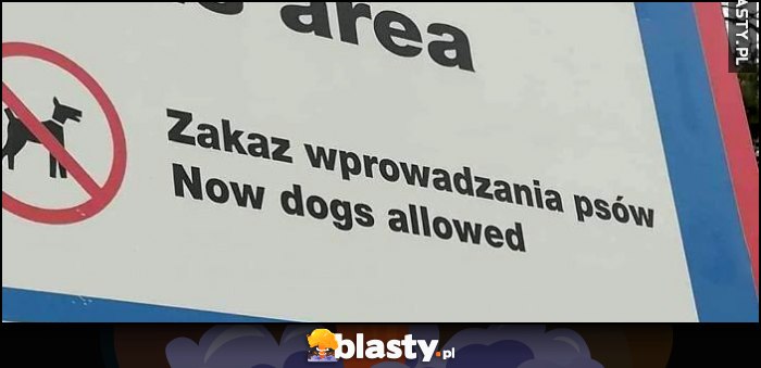 Zakaz wprowadzania psów, tłumaczenie: now dogs allowed