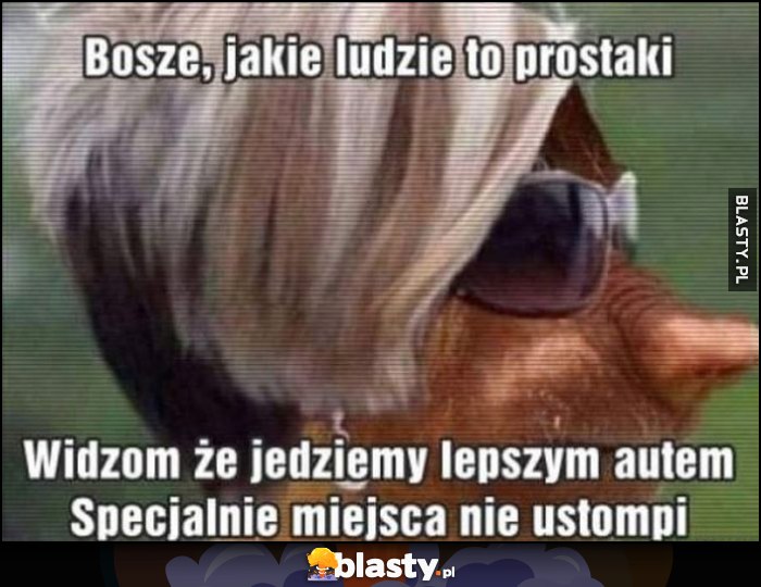 Boże jakie ludzie to prostaki, widzą, że jedziemy lepszym autem, specjalnie miejsca nie ustąpi