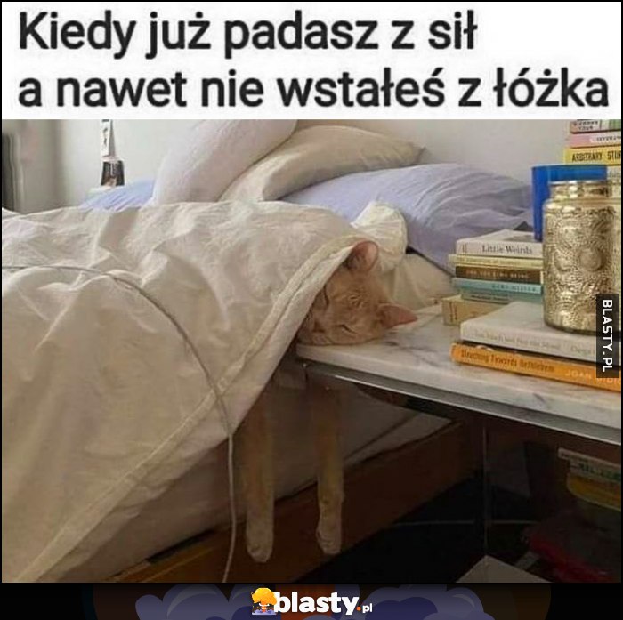 Kiedy już padasz z sił a nawet nie wstałeś z łóżka kot śpi