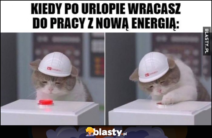 Kiedy po urlopie wracasz do pracy z nową energią zmęczony kot kotek wciska przycisk