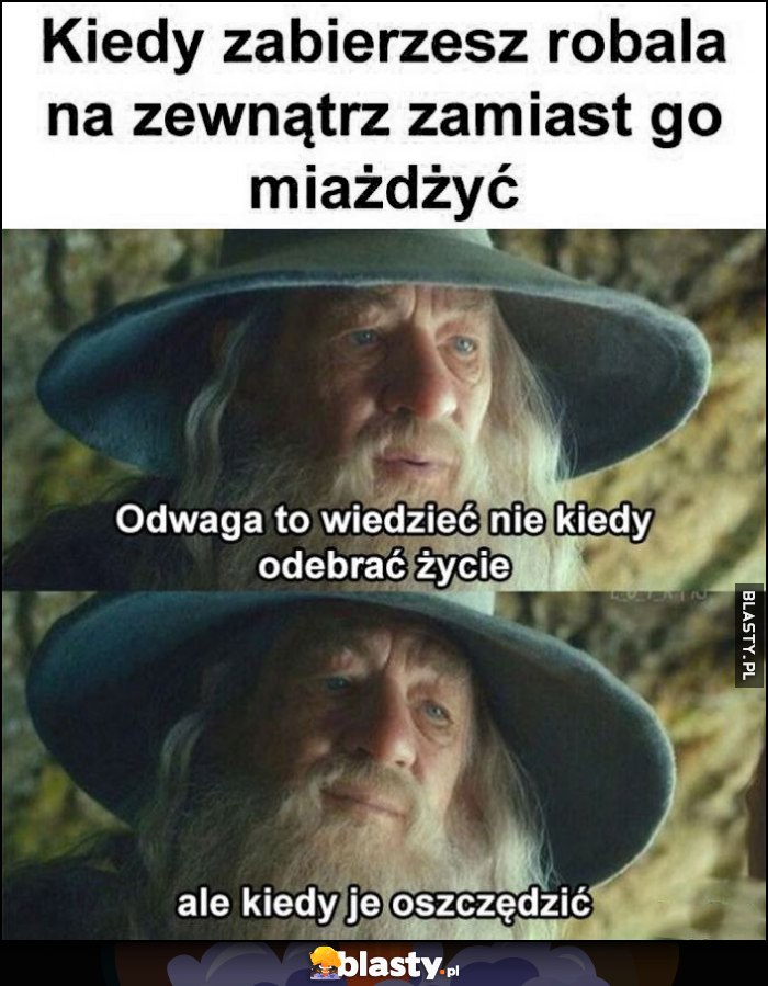 Kiedy zabierzesz robala na zewnątrz zamiast go miażdżyć: Gandalf odwaga to wiedzieć nie kiedy odebrać życie, ale kiedy je oszczędzić