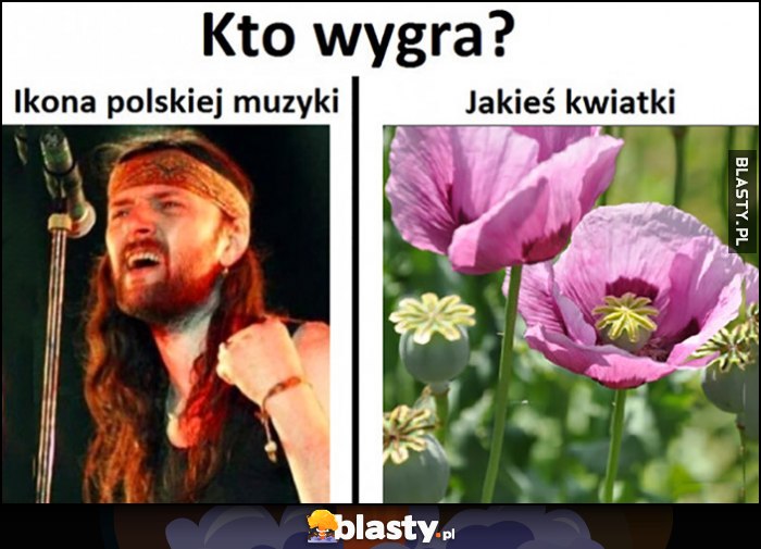 Kto wygra? Dżem Riedel ikona polskiej muzyki czy jakieś kwiatki mak