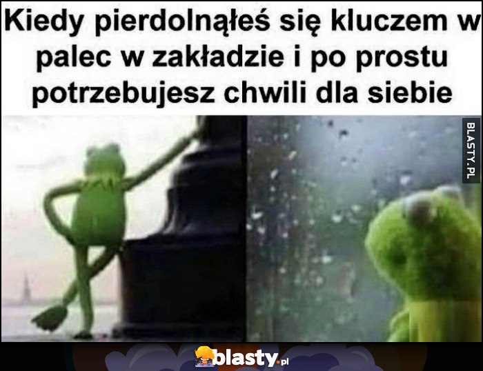 Kermit kiedy pierdzielnąłeś się kluczem w palec w zakładzie i po prostu potrzebujesz chwili dla siebie