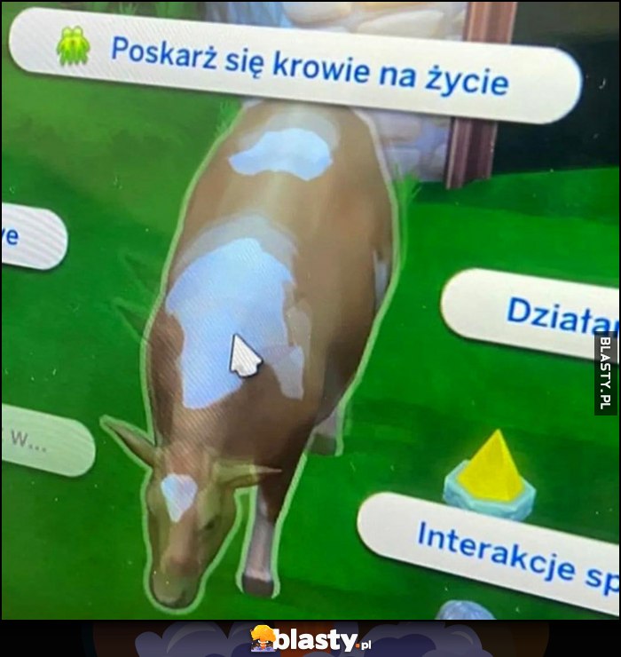 Poskarż się krowie na życie opcja w grze