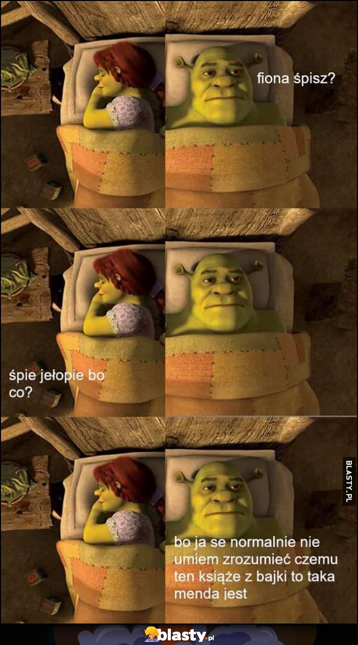 Shrek: Fiona śpisz? Śpie jełobie bo co? Bo ja se normalnie nie umiem zrozumieć czemu ten książę z bajki to taka menda jest