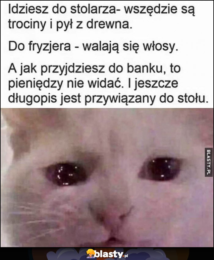 Idziesz do stolarza - wszędzie trociny, fryzjera - włosy, do banku to pieniędzy nie widać i nawet długopis przywiązany kot kotek płacze