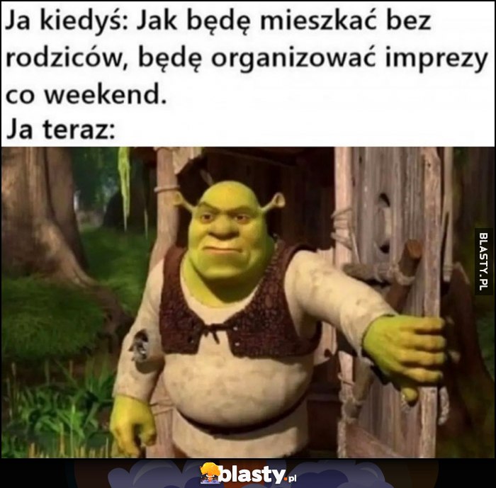 Ja kiedyś Shrek: jak będe mieszkać bez rodziców, będę organizować imprezy co weekend vs ja teraz zrzęda