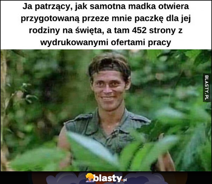 Ja patrzący jak samotna madka otwiera moją paczkę na święta a tam 452 strony z wydrukowanymi ofertami pracy