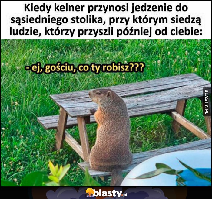 Kiedy kelner przynosi jedzenie do sąsiedniego stolika, przy którym siedzą ludzie którzy przyszli później od Ciebie, ej gościu co ty robisz?