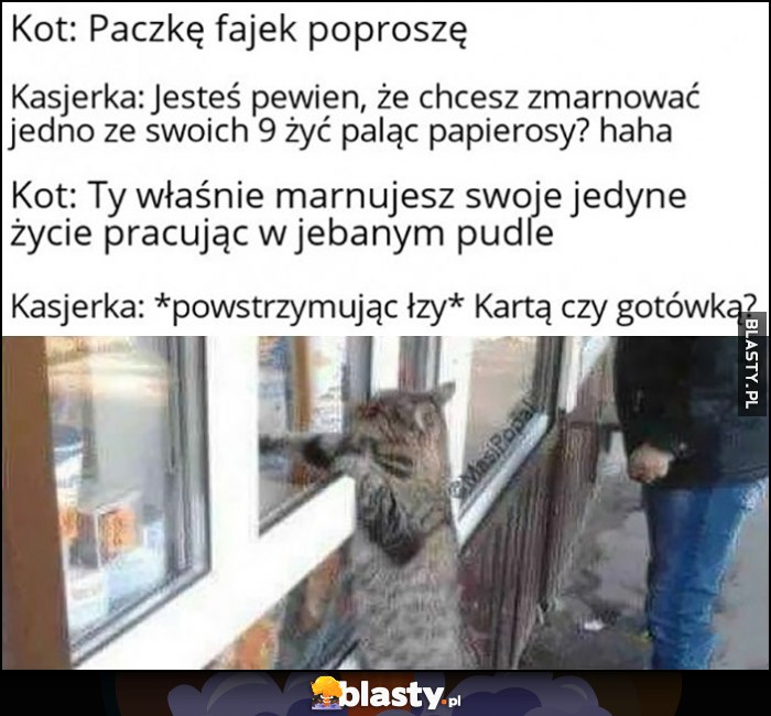 Kot: paczkę fajek poproszę, na pewno chcesz zmarnować jedno z 9 żyć, kot: ty marnujesz swoje pracując w pudle