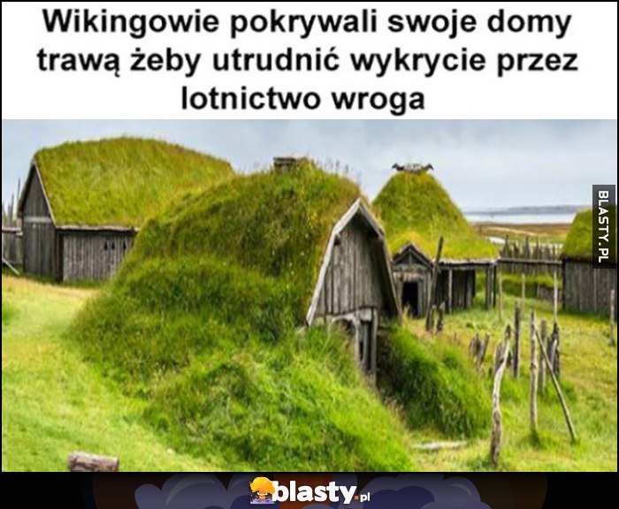 Wikingowie pokrywali swoje domy trawą, żeby utrudnić wykrycie przez lotnictwo wroga