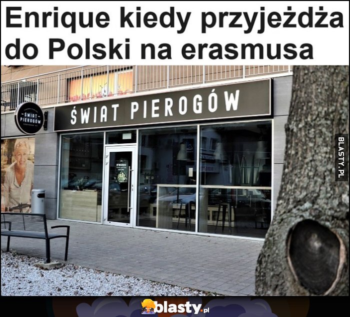 Enrique kiedy przyjeżdża do Polski na Erasmusa: Świat Pierogów