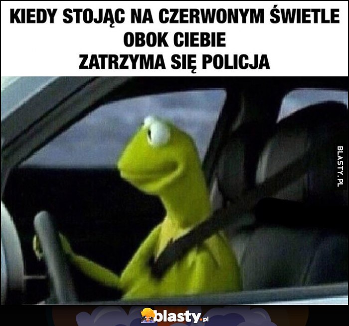 Kermit kiedy stojąc na czerwonym świetle obok ciebie zatrzyma się policja