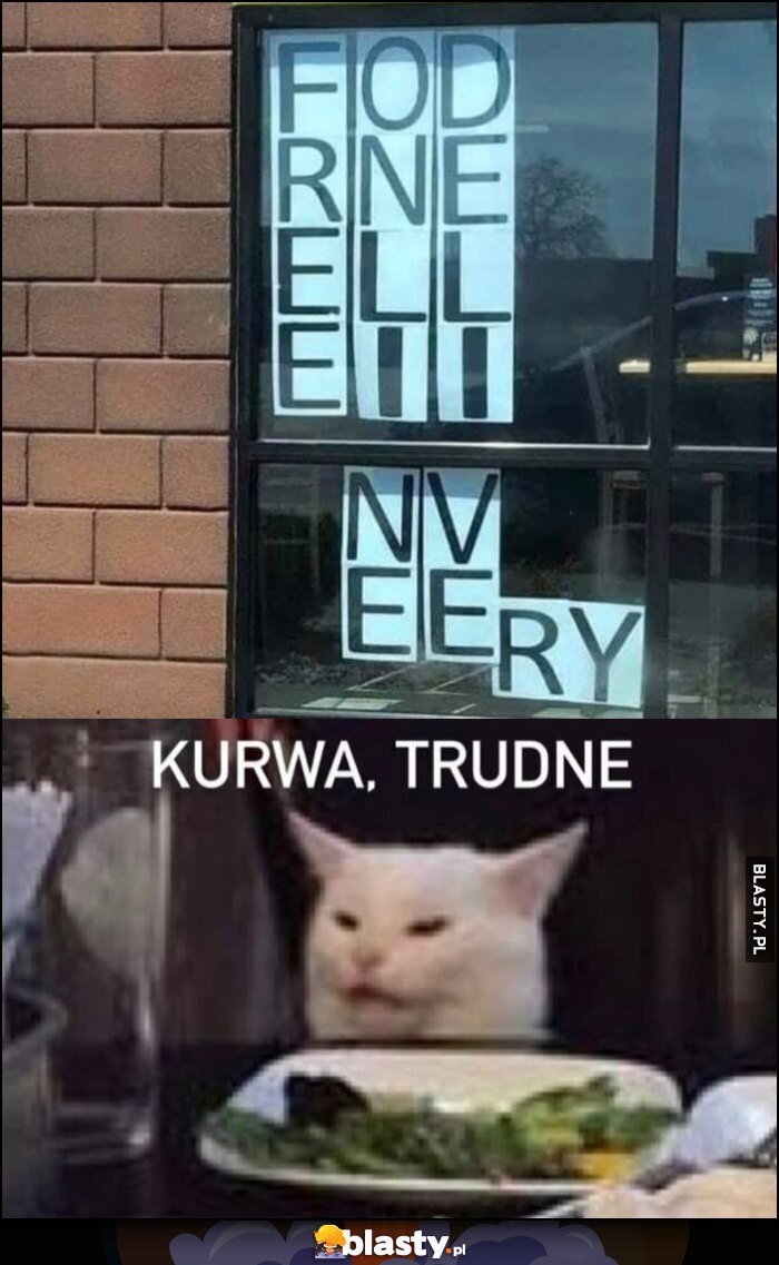 Napis poziomo pionowo, kot czytający dosłownie: kurna trudne