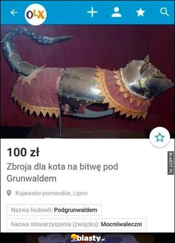 Zbroja dla kota na bitwę pod Grunwaldem ogłoszenie OLX