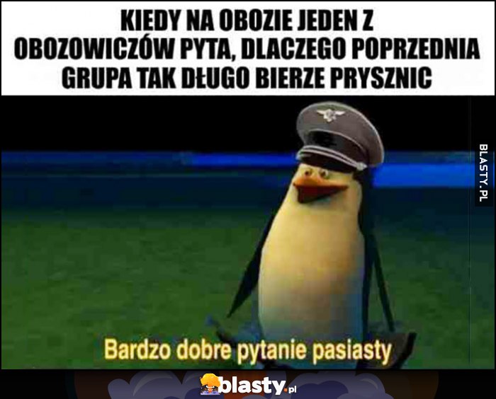 Kiedy na obozie jeden z obozowiczów pyta, dlaczego poprzednia grupa tak długo bierze prysznic? Bardzo dobre pytanie pasiasty pingwin Kowalski