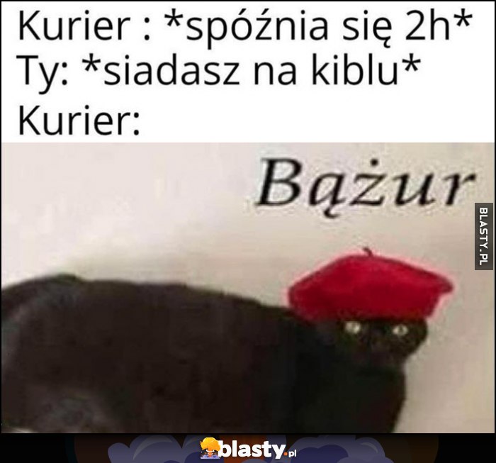 Kurier spóźnia się 2 godziny, ty siadasz na kiblu, kurier: bążur kot w czapce