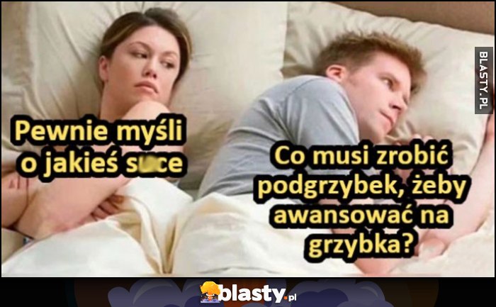 Ona: pewnie myśli o jakiejś suce, on: co musi zrobić podgrzybek, żeby awansować na grzybka?