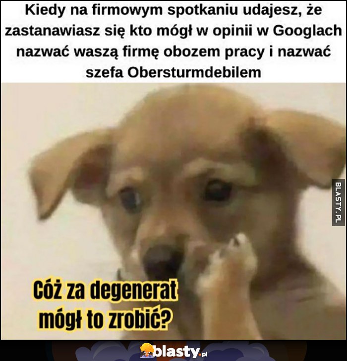 Kiedy na firmowym spotkaniu udajesz, że zastanawiasz się kto mógł w Google nazwać waszą firmę obozem pracy pies piesek