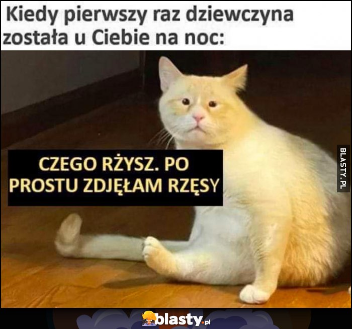 Kiedy pierwszy raz dziewczyna została i Ciebie na noc: czego rżysz, po prostu zdjęłam rzęsy kot małe oczy