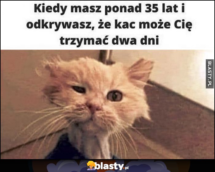 Kot kotek kiedy masz ponad 35 lat i odkrywasz, że kac może Cię trzymać dwa dni