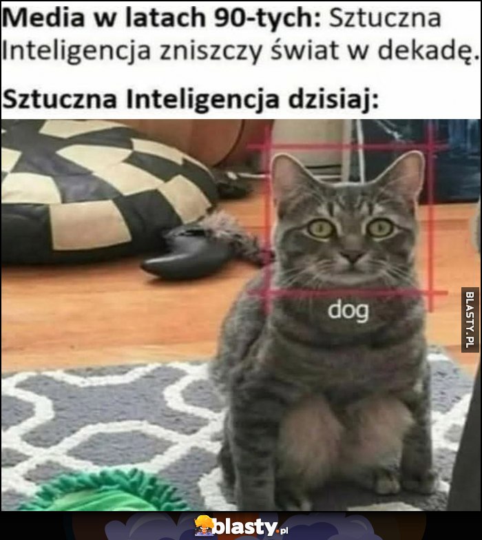 Media w latach 90-tych: sztuczna inteligencja zniszczy świat w dekadę vs dziś: rozpoznaje kota jako psa