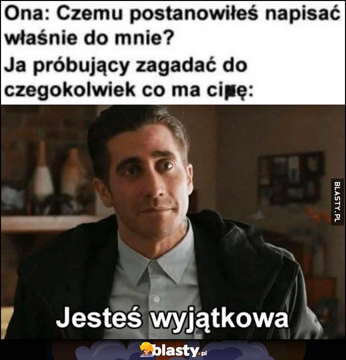 Ona: czemu postanowiłeś napisać właśnie do mnie? Ja próbujący zagadać do czegokolwiek co ma sowę: jesteś wyjątkowa