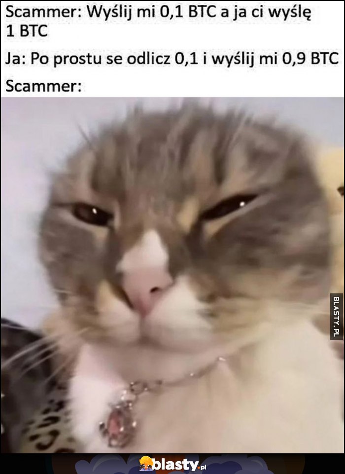 Scammer: wyślij mi 0,1 BTC a ja ci wyślę 1 BTC, ja: po prostu odlicz 0,1 i wyślij mi 0,9 BTC. Scammer: zdziwiony kotek kot