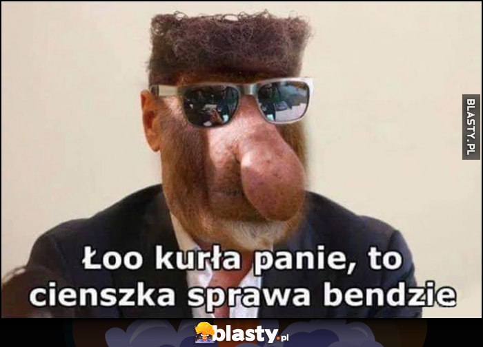 Detektyw Rutkowski małpa nosacz: łoo kurła panie, to ciężka sprawa będzie