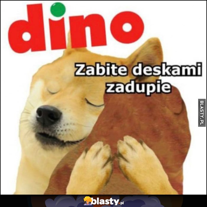 Dino przytula zabite deskami zadupie pies pieseł doge