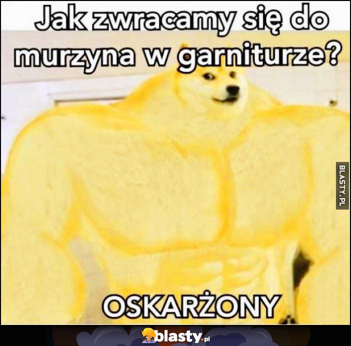Jak zwracamy się do murzyna w garniturze? Oskarżony pies pieseł doge