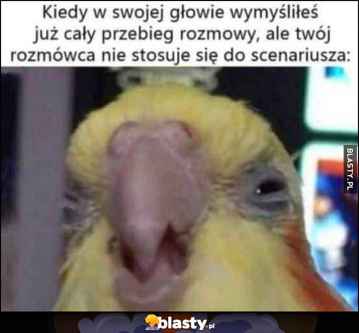 Kiedy w swojej głowie wymyśliłeś już cały przebieg rozmowy, ale twój rozmówca nie stosuje się do scenariusza