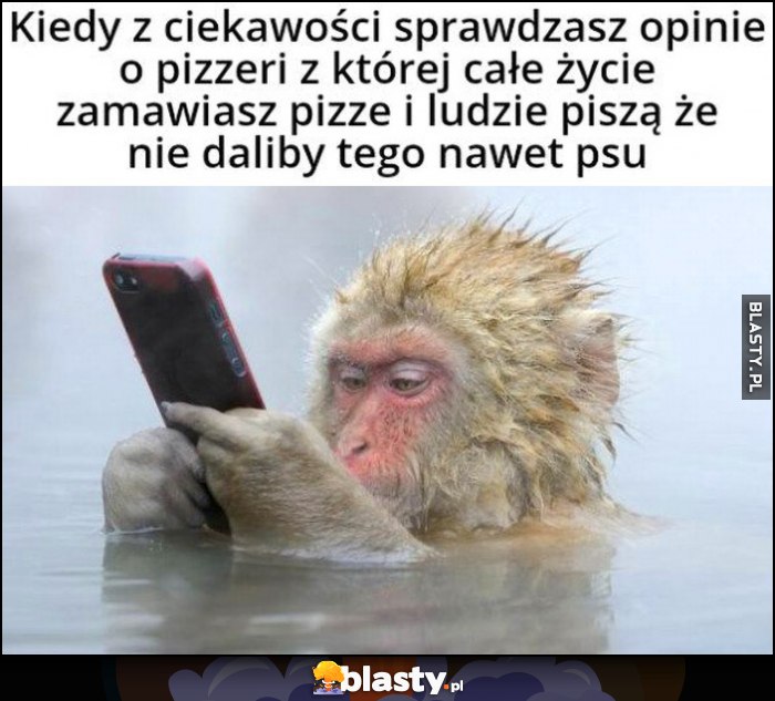 Kiedy z ciekawości sprawdzasz opinie o pizzeri z której całe zycie zamawiasz pizzę i ludzie piszą, że nie daliby tego nawet psu