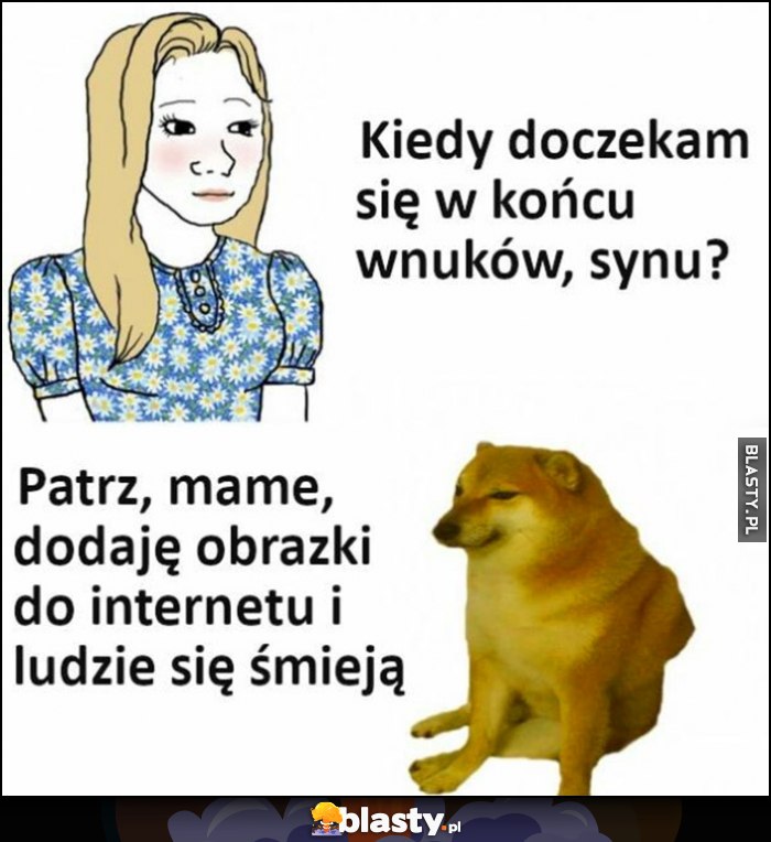 Matka: kiedy się w końcu doczekam wnuków, synu? Ja pies pieseł cheems doge: patrz mame dodaję obrazki do internetu i ludzie się smieją