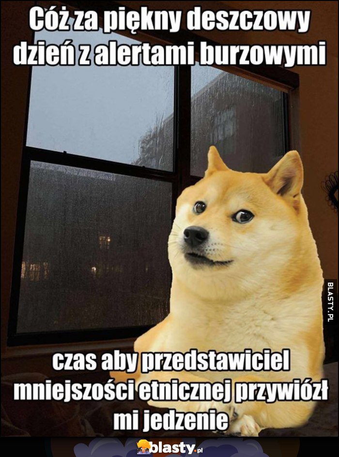 Pieseł cóż za piękny deszczowy dzień z alertami burzowymi, czas aby przedstawiciel mniejszości etnicznej przywiózł mi jedzenie