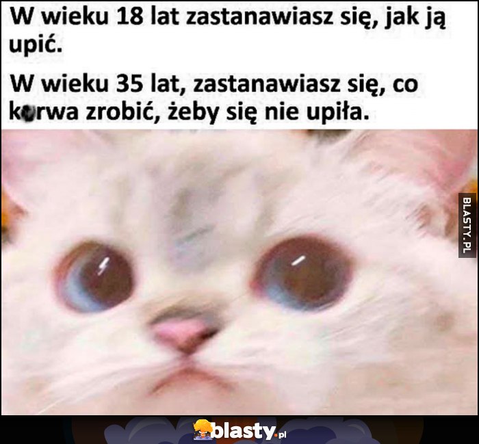 W wieku 18 lat zastanawiasz się, jak ją upić vs w wieku 35 lat zastanawiasz się co zrobić, żeby się nie upiła kot kotek