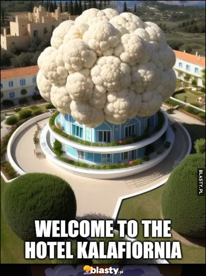 Welcome to the hotel kalafiornia kalafior