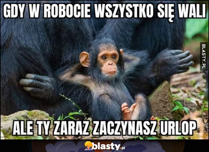 Gdy w robocie wszystko się wali, ale Ty zaraz zaczynasz urlop małpa małpka wywalone