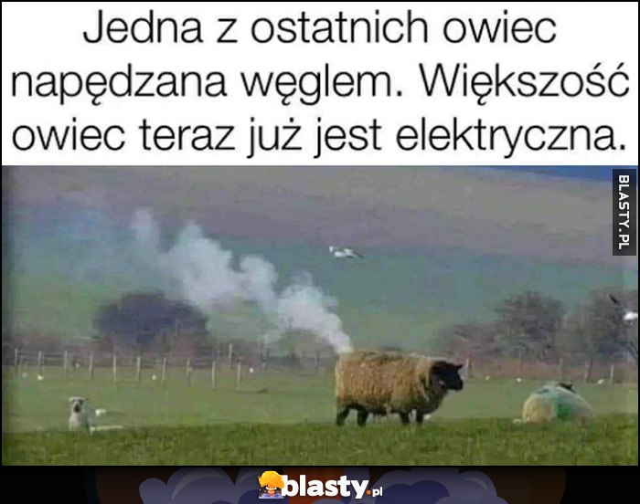 Jedna z ostatnich owiec napędzana węglem. Większość owiec teraz już jest elektryczna
